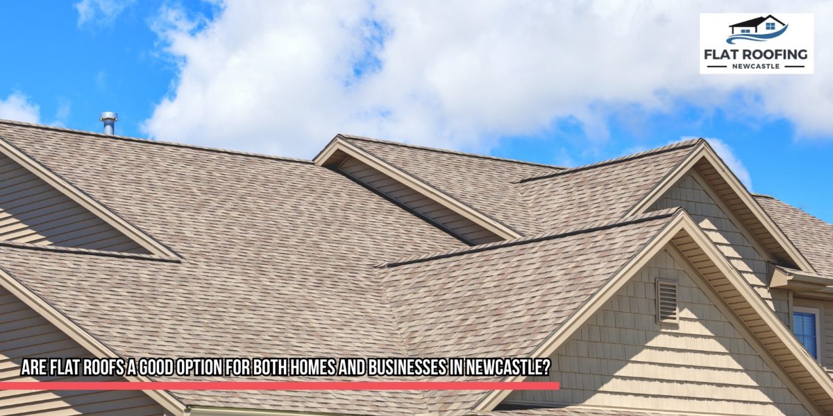 flat roofs newcastle homes businesses